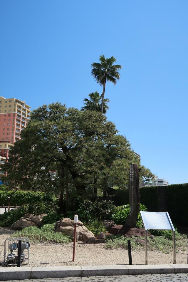 小説「金色夜叉」のお宮の松はこちら