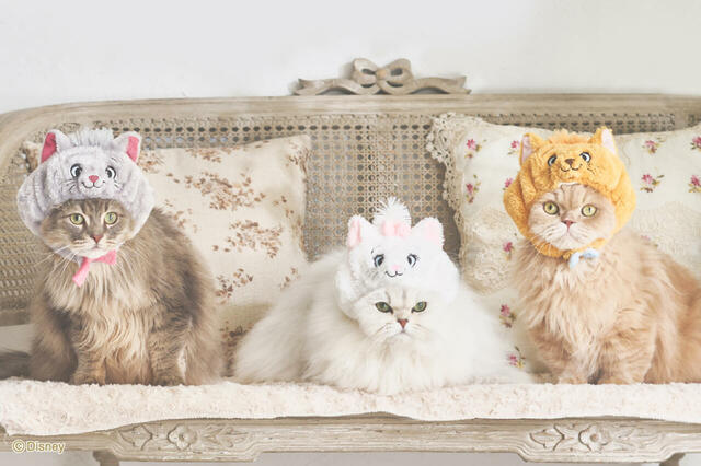 帽子 3,080円｜ディズニー マリー「おしゃれキャット」コレクション ｜ペットパラダイス