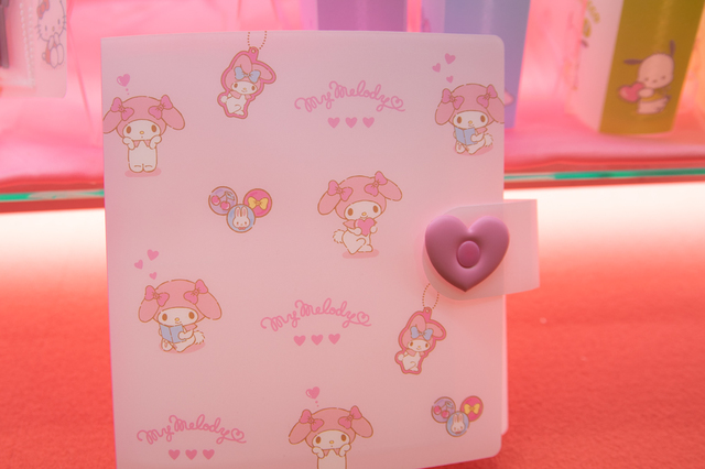 収納ファイル（600円）