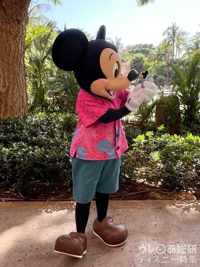 アウラニで会えるキャラクター