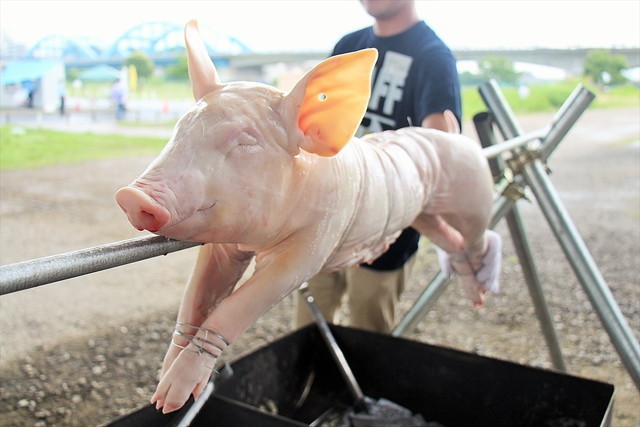 ワイルドバーベキュー／豚の丸焼き