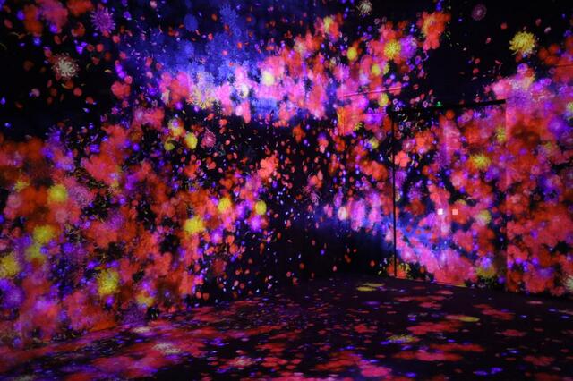 花と人、コントロールできないけれども共に生きる