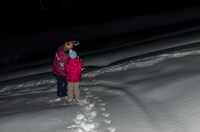 夜の探偵団｜タングラム斑尾「タングラムスキーサーカス」