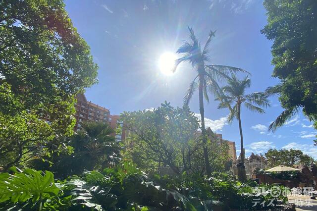 アウラニの風景