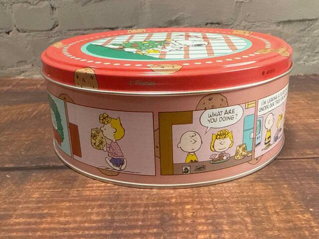 チョコチップクッキーを作るサリー