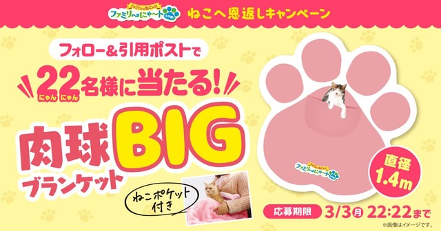 【「ファミリ〜にゃ〜ト大作戦！」】全長1.4m！ねこも入れる「肉球BIGブランケット」が当たる「ねこへ恩返し」キャンペーン