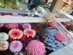 【蛇窪神社（へびくぼじんじゃ）】手水舎には色とりどりの花が浮かべられていてとても綺麗でした