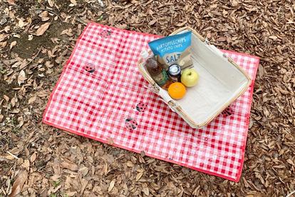 フライング タイガー かわいい おでかけ ピクニックアイテム 厳選 全部揃えてもめちゃ安い 2 2 ハピママ