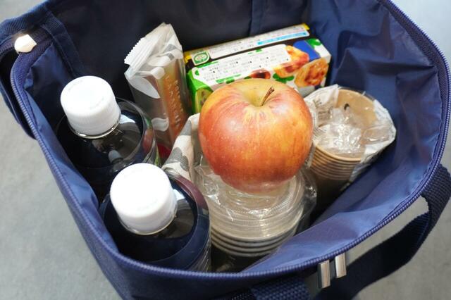 ピクニックグッズを入れたところ