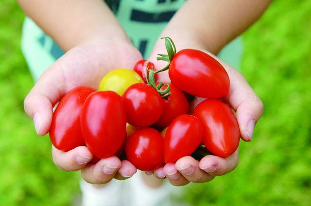 界 川治 里山ファーム