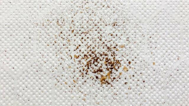 【MonoMaster（モノマスター）5月号特別付録はスヌーピーデザインのコーヒーミルとミニ缶】結構粉が飛び散るため、下にペーパタオルなど敷くのがおすすめ。