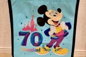 【ディズニー】買ってよかった～！70周年記念の「高コスパお土産」現地購入レビュー【海外ディズニー】