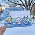 【ちいぽけ雪まつり】来場者限定ノベルティグッズとして、『ちいぽけ』のホーム画面を提示で「ちいぽけクリアカード」を1枚プレゼント