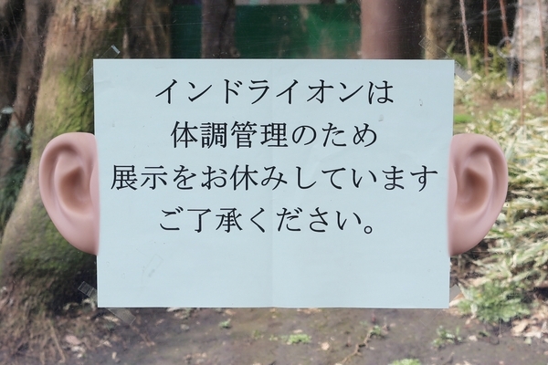 人耳は付けられました