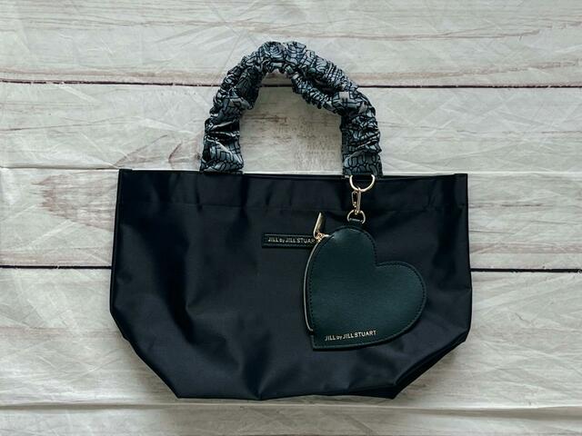 ポーチのみバージョン