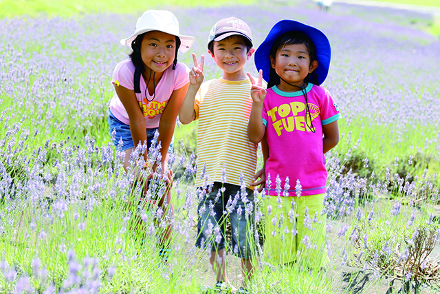 タングラム斑尾 ラベンダー園