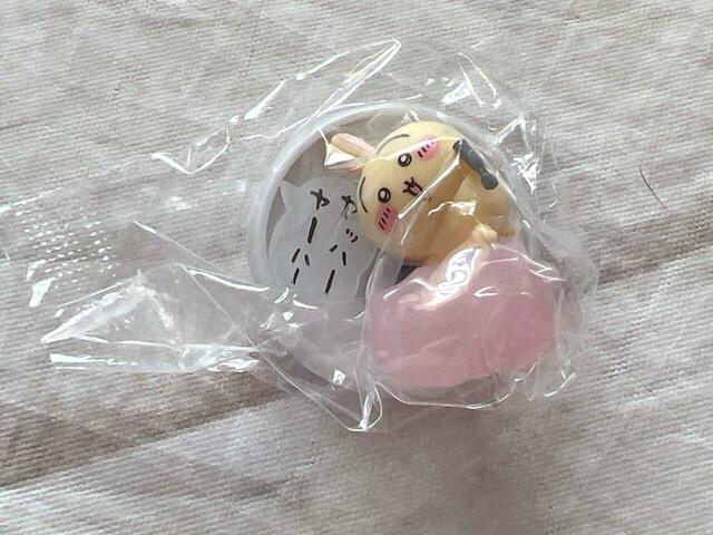 5個めを開封。この時点でまだ推しのハチワレがきていないことに焦りを感じます…