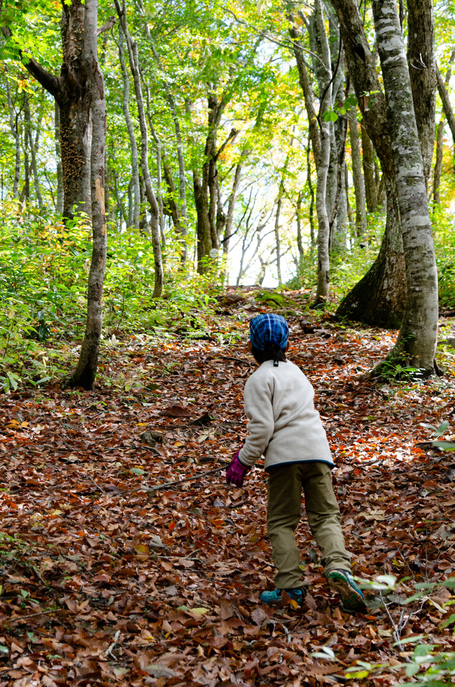 白馬岩岳「ねずこの森」