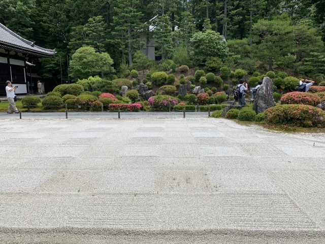 普門院から見た庭園