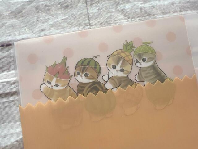 野菜や果物の帽子を被ったにゃんこたち。並んでいる姿がキュート!