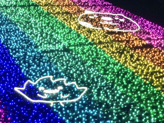 ざっそうとねこ