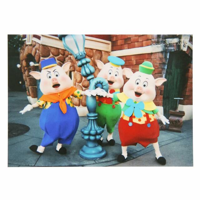 写真 500円|東京ディズニーリゾート・フォトグラフィープロジェクト「イマジニング・ザ・マジック」第2弾グッズ|東京ディズニーリゾート40周年“ドリームゴーラウンド”|発売日:2023年12月7日(木)|販売店舗:東京ディズニーランド「グランドエンポーリアム」、東京ディズニーシー「ヴァレンティーナズ・スウィート」