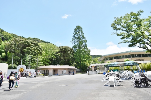 入園口を入ると、広々としている