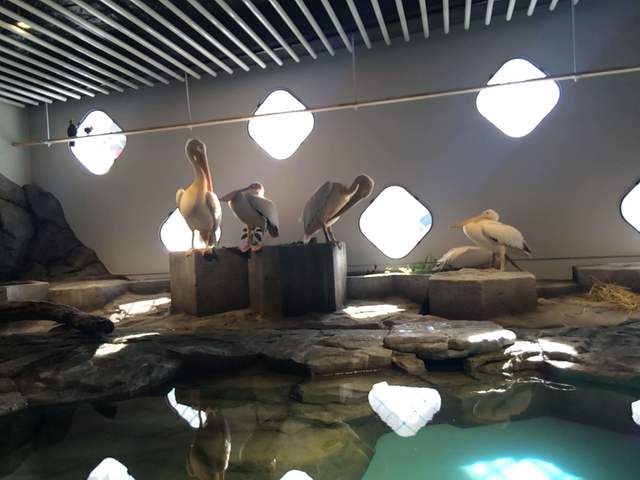 「うごきにふれる」ゾーン