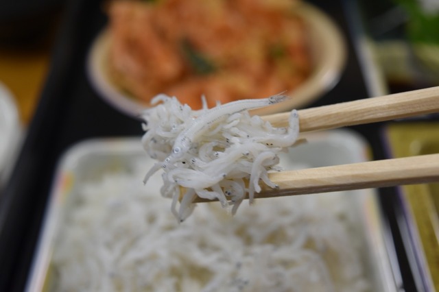 柔らかくて美味しいしらす