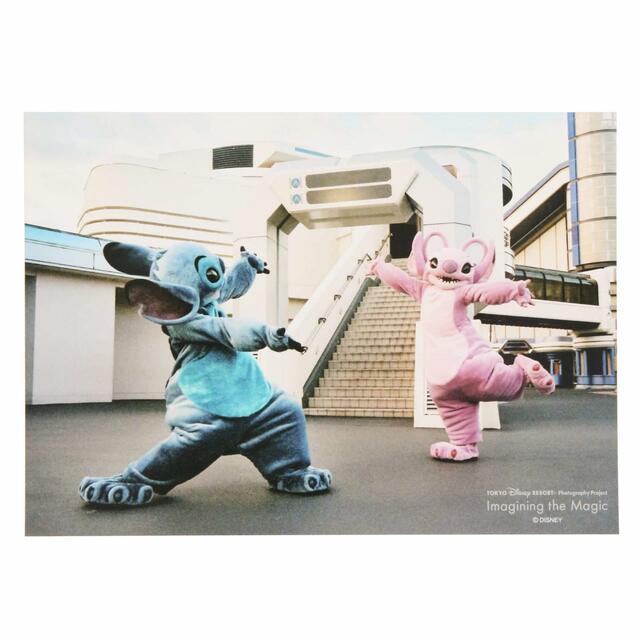 写真 500円|東京ディズニーリゾート・フォトグラフィープロジェクト「イマジニング・ザ・マジック」第2弾グッズ|東京ディズニーリゾート40周年“ドリームゴーラウンド”|発売日:2023年12月7日(木)|販売店舗:東京ディズニーランド「グランドエンポーリアム」、東京ディズニーシー「ヴァレンティーナズ・スウィート」