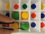【モンテッソーリ教具】ポンポン仕分け／手先の発達によってトングを使い分けて