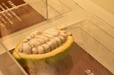 実物大のカカオポットが展示されている