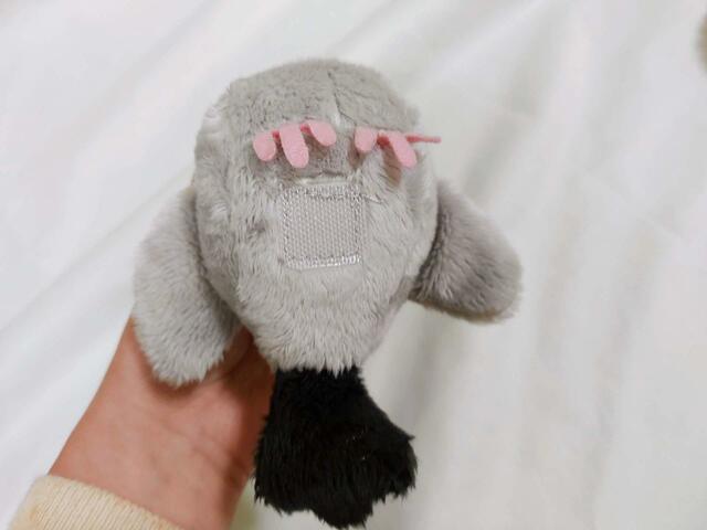 ボディの裏面にある「マジックテープ」で肩に装着する