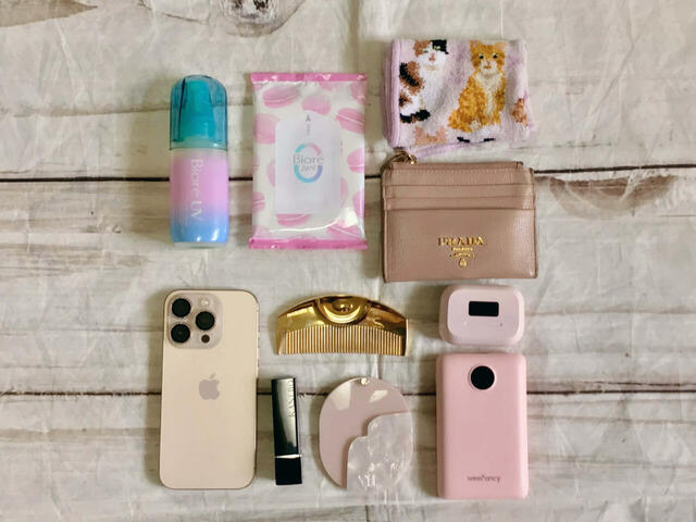 なんとこれだけのものが収納可能！