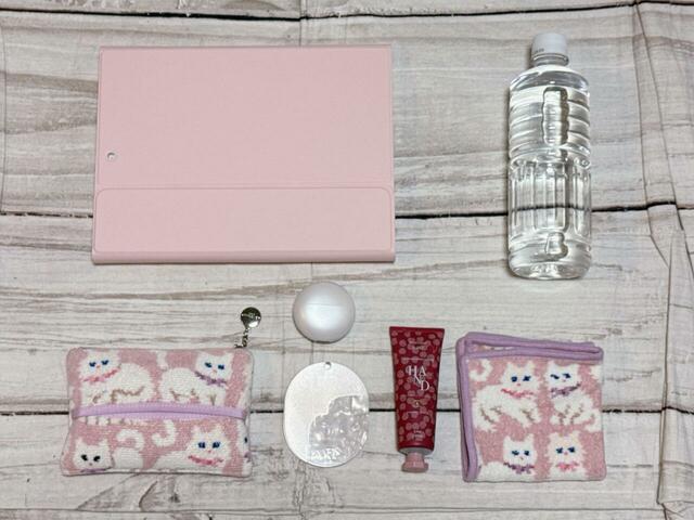 これだけの荷物が収納可能でした！