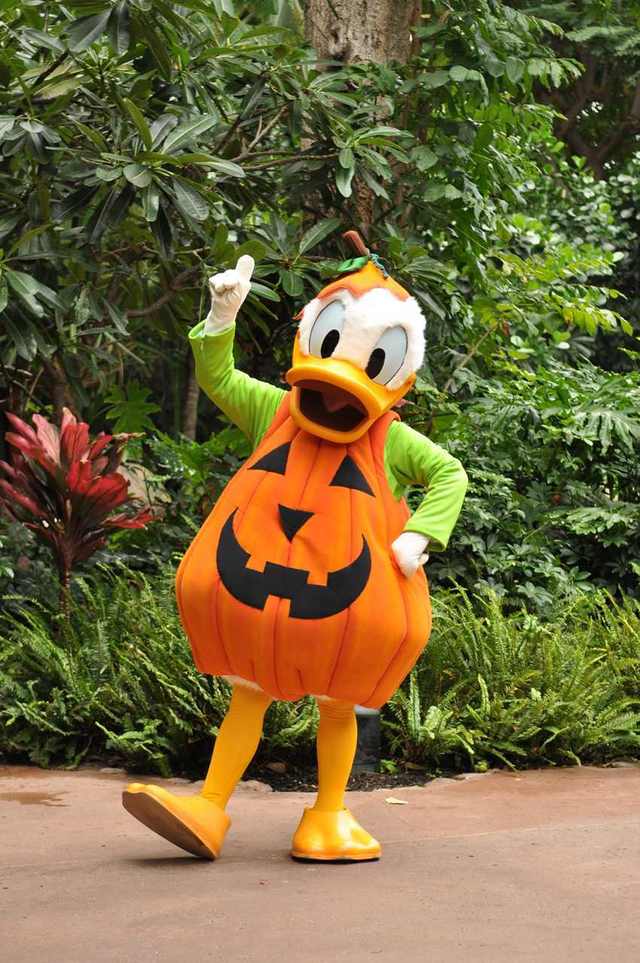 ドナルドダック