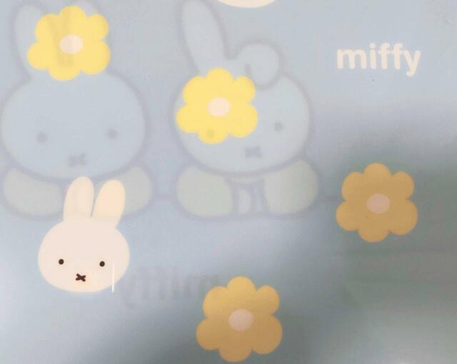 イラスト拡大図