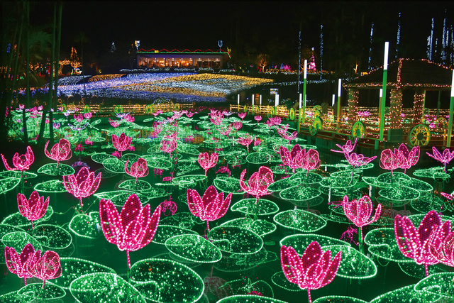 東南植物楽園 光のさんぽみち