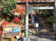 【まちのコイン】12月は紅葉が見事な建長寺