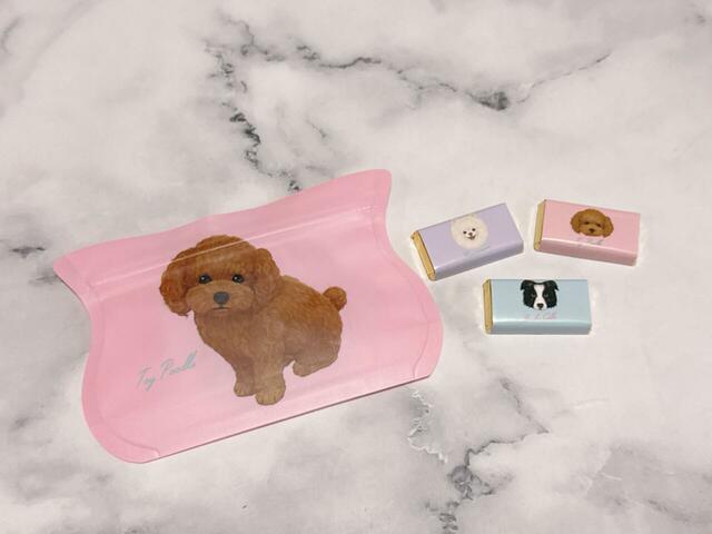 【カルディ ドッグミニパック　チョコレート】ジッパーバッグの中には個包装のチョコが3つ入っています