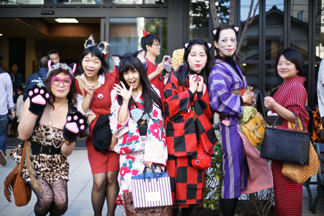 かわいい猫、イケメン猫…超凝った“猫コスプレ”