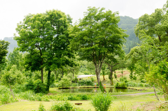 えさ釣り専用池｜無印良品「津南キャンプ場」