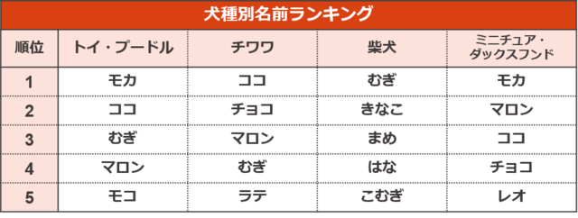 犬種別名前ランキング【ペットの名前ランキング2023】