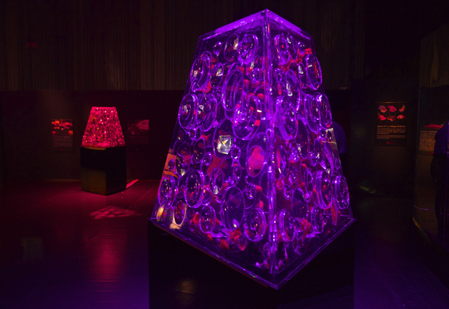 京都・元離宮二条城で開催の「アートアクアリウム城」