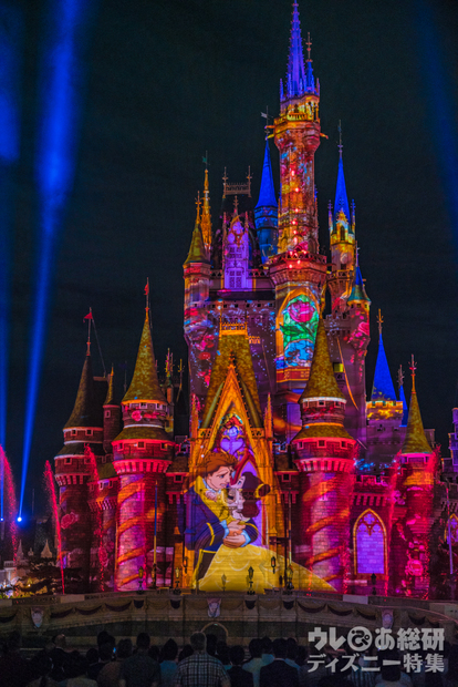 ミッキーと一緒に東京ディズニーランドを冒険しよう ミキオタが見た Celebrate Tokyo Disneyland 写真 6 11 ディズニー特集 ウレぴあ総研