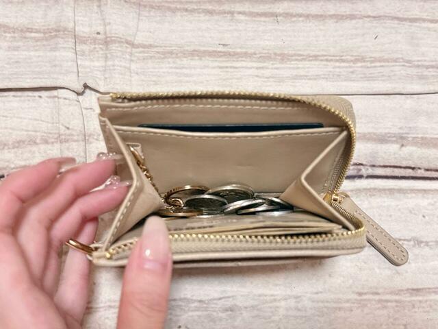 内側にはコインと紙幣も収納してみました。ガバッと開くのでコインも取り出しやすく◎