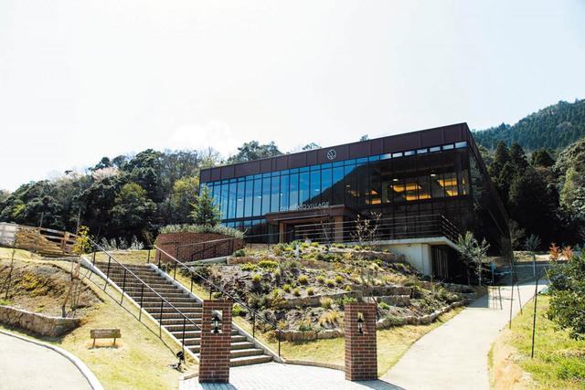 【砂丘エリア】大江ノ郷ヴィレッジ｜鳥取の自然と食を体験できるナチュラルリゾート