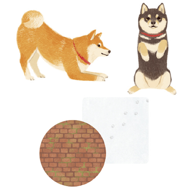 【NEW】YOU＋MORE！散歩に行くワン！ジオラマ柴犬茶セットの会 デザイン