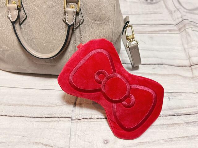 トートを入れて、メインバッグにチャームとして付けておけば、バッグの中でかさばらないのもうれしいポイント!
