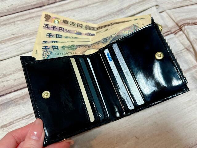 紙幣とカードを入れてみました!